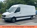 Mercedes-Benz Sprinter II Kasten Maxi XL 316 CDI - TÜV 10.26 Bianco - thumbnail 18