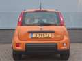 Fiat Panda 1.0 70pk Hybrid City Life | Lage KM-Stand | Carpla Geel - thumbnail 5