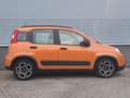 Fiat Panda 1.0 70pk Hybrid City Life | Lage KM-Stand | Carpla Geel - thumbnail 4