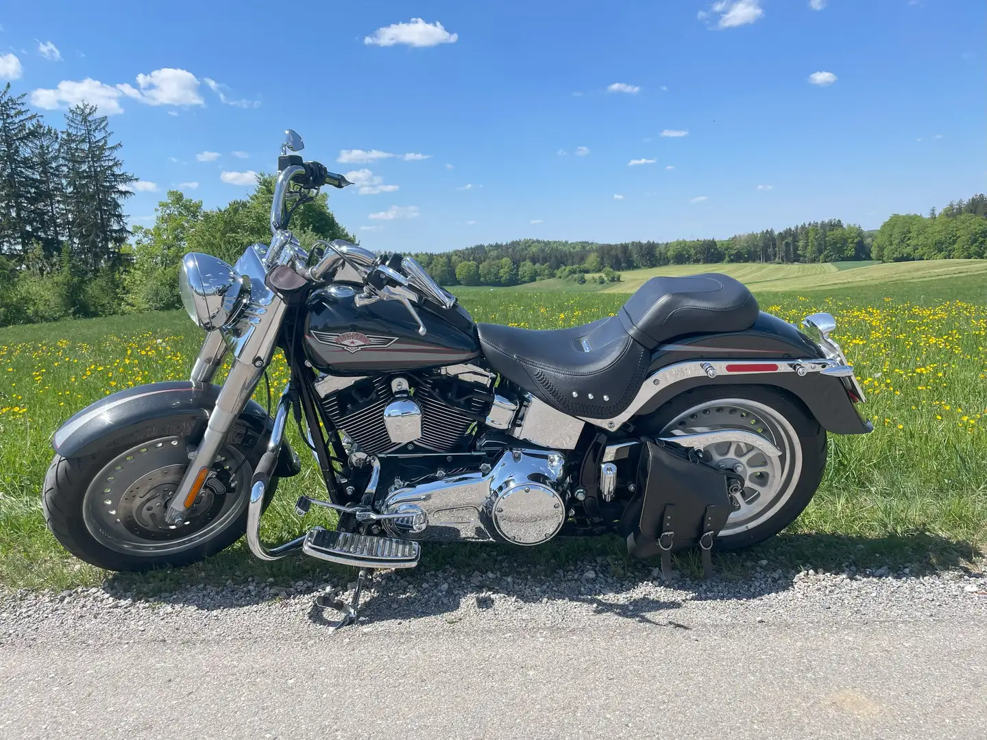 Harley-Davidson Fat Boy FS2 Gris - 1
