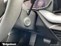 Skoda Octavia Octavia 1.5 TSI DSG mHEV Sel. 4J.GAR+AHK+LED+16" Schwarz - thumbnail 19