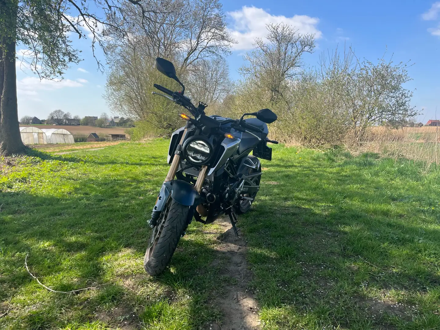 Honda CB 125 Honda CB 125R Albastru - 1