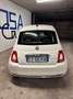 Fiat 500 1.0 hybrid Dolcevita 70cv PREZZO REALE Blanc - thumbnail 5