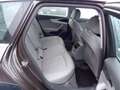 Audi A4 allroad quattro,AHK Braun - thumbnail 10