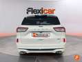 Ford Kuga ST-Line X 2.0 EcoBlue MHEV 110kW (150CV) Blanco - thumbnail 7