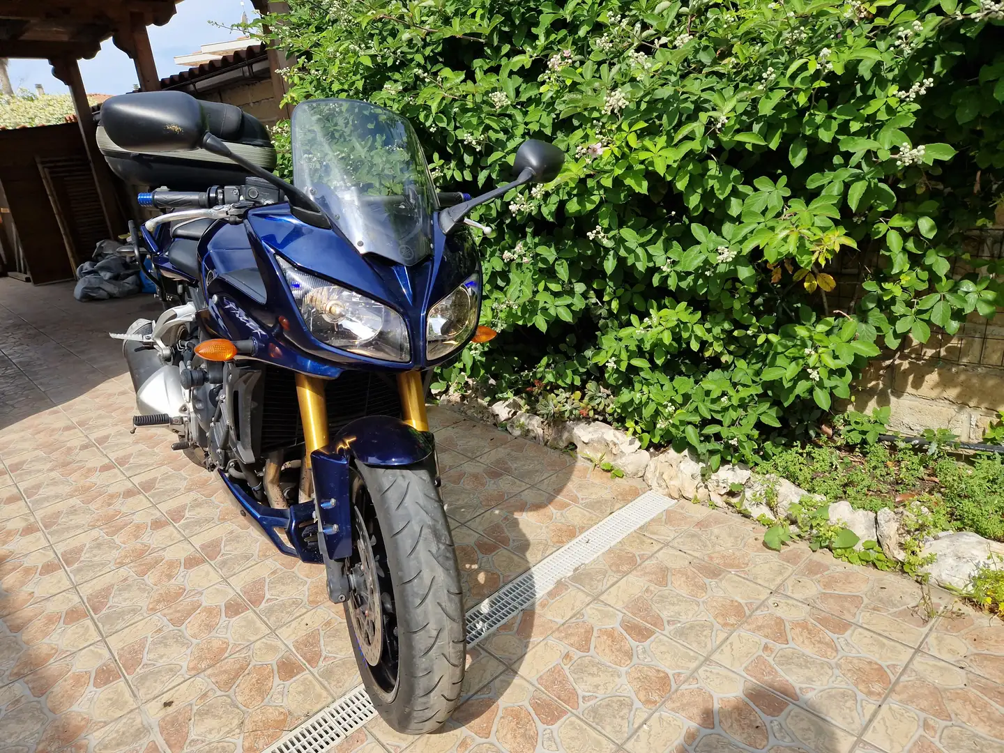 Yamaha FZ 1 Fazer Blue - 2