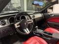 Ford Mustang GT 4.6 V8 CABRIO UNICA SUPER PREZZO Gris - thumbnail 13
