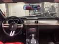 Ford Mustang GT 4.6 V8 CABRIO UNICA SUPER PREZZO Gris - thumbnail 10