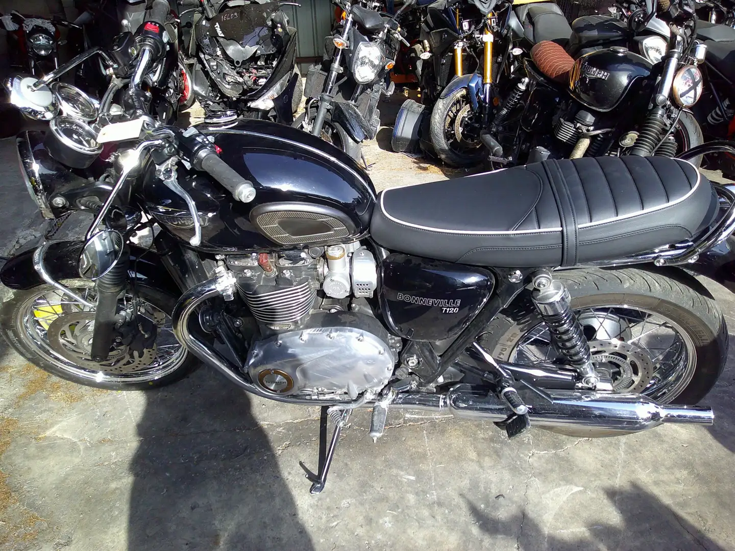 Triumph Bonneville T120 - 1