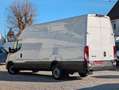 Iveco Daily Daily 35S18A8 Maxi - Hochdach H3 mit 2.100 mm Weiß - thumbnail 2