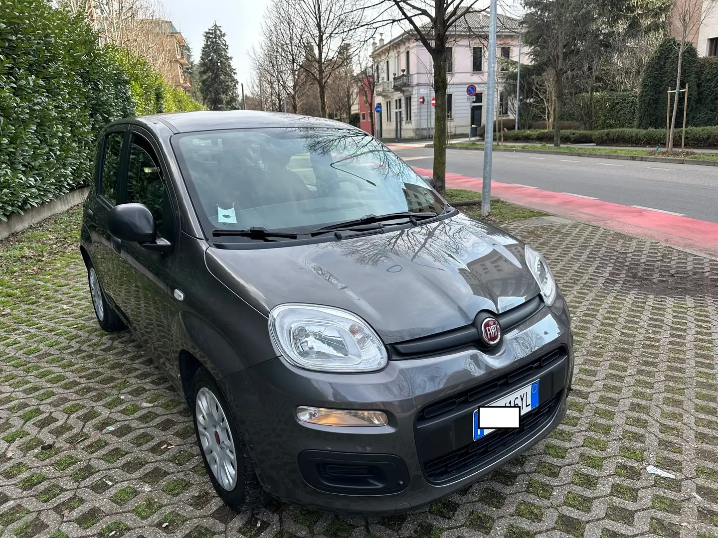 Fiat Panda 1.0 firefly hybrid S&S Grau - 2