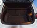 Volkswagen Tiguan 2.0TDI Advance DSG 110kW Blanc - thumbnail 17