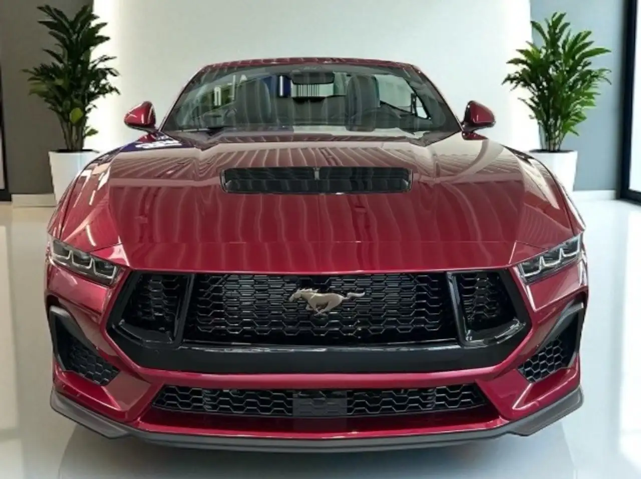Ford Mustang 5.0 GT Cabrio Bronze Pak. Molten MAGENTA 3
