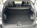 Kia Sportage Vision 1.6D 48V DCT Komfort-P.+Navi+LED Weiß - thumbnail 14
