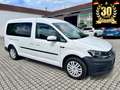 Volkswagen Caddy Maxi Trendline BMT*Rollstuhlrampe*1 Hand* Weiß - thumbnail 1