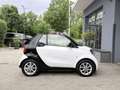 smart forTwo cabrio 1.0 Aut. **Klimaaut./Tempomat** Weiß - thumbnail 8