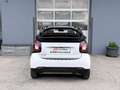 smart forTwo cabrio 1.0 Aut. **Klimaaut./Tempomat** Weiß - thumbnail 6