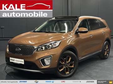 Platinum Edition 4WD *AHK*PANORAMA*360*SitzKlima*