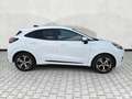Ford Puma 1.0 EB Hybrid ST-Line nMod 5J. Garantie AHK Weiß - thumbnail 9