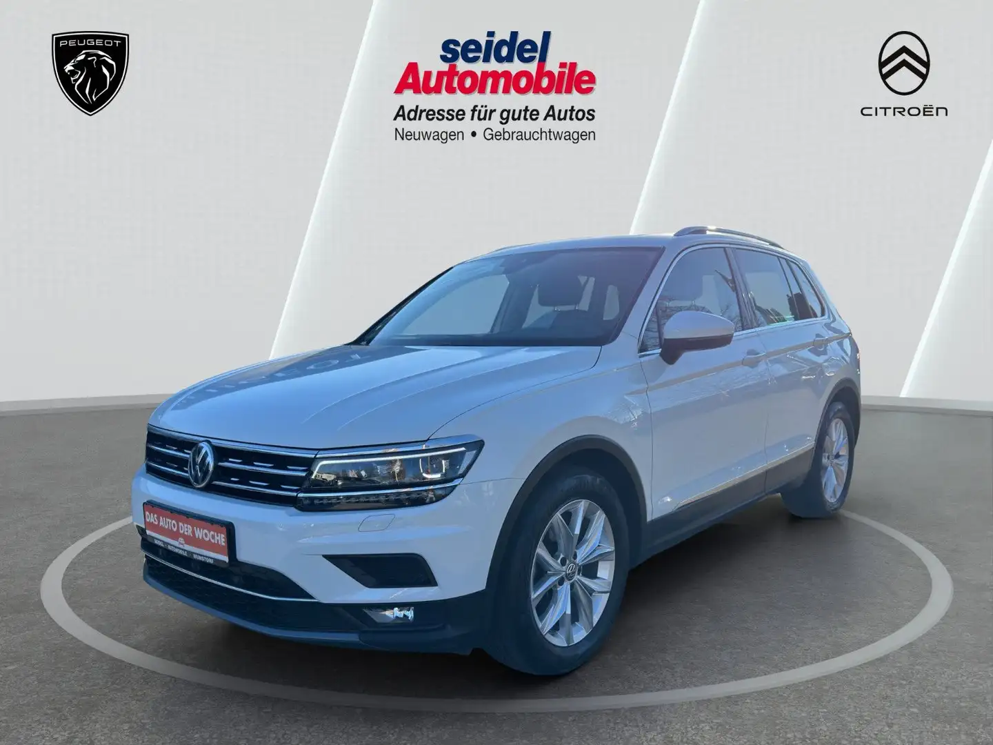 Volkswagen Tiguan 1,5 TSI Automatik Highline,1.HD,wenig KM Blanc - 1