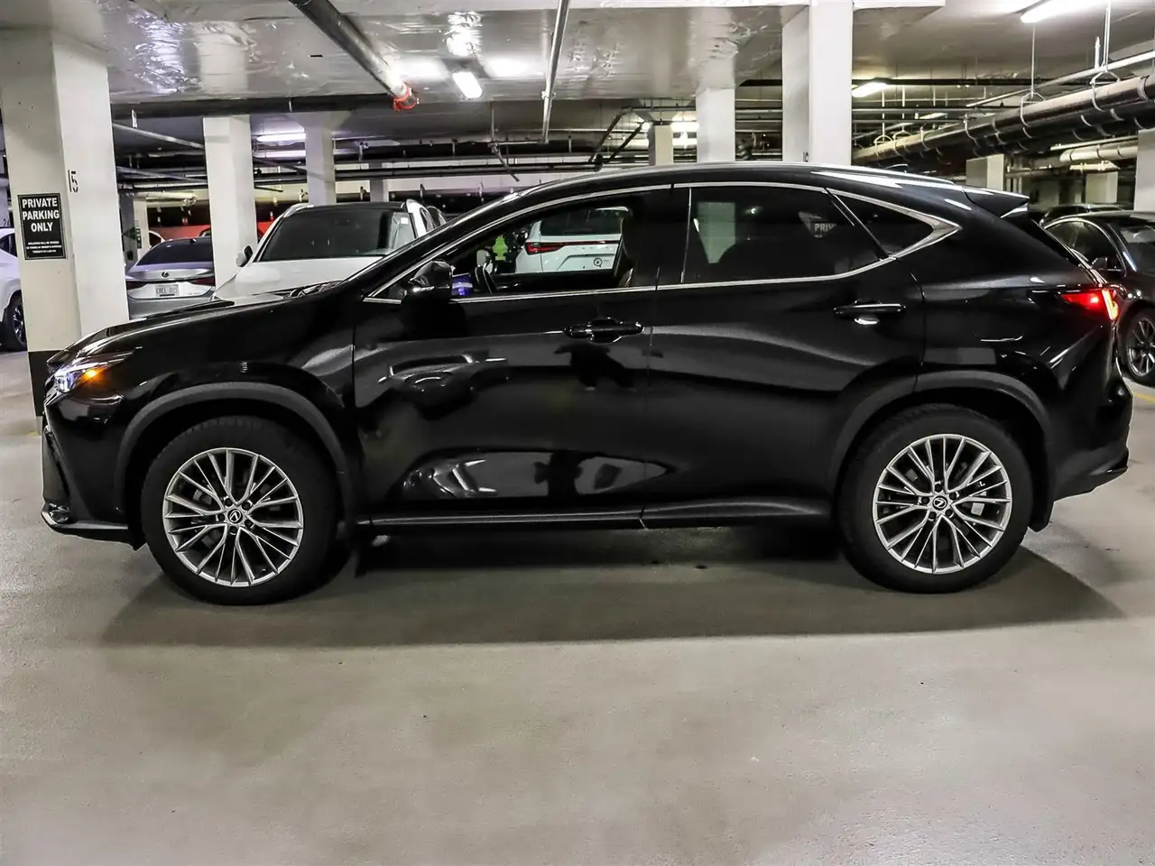 Lexus NX снимка Lexus NX