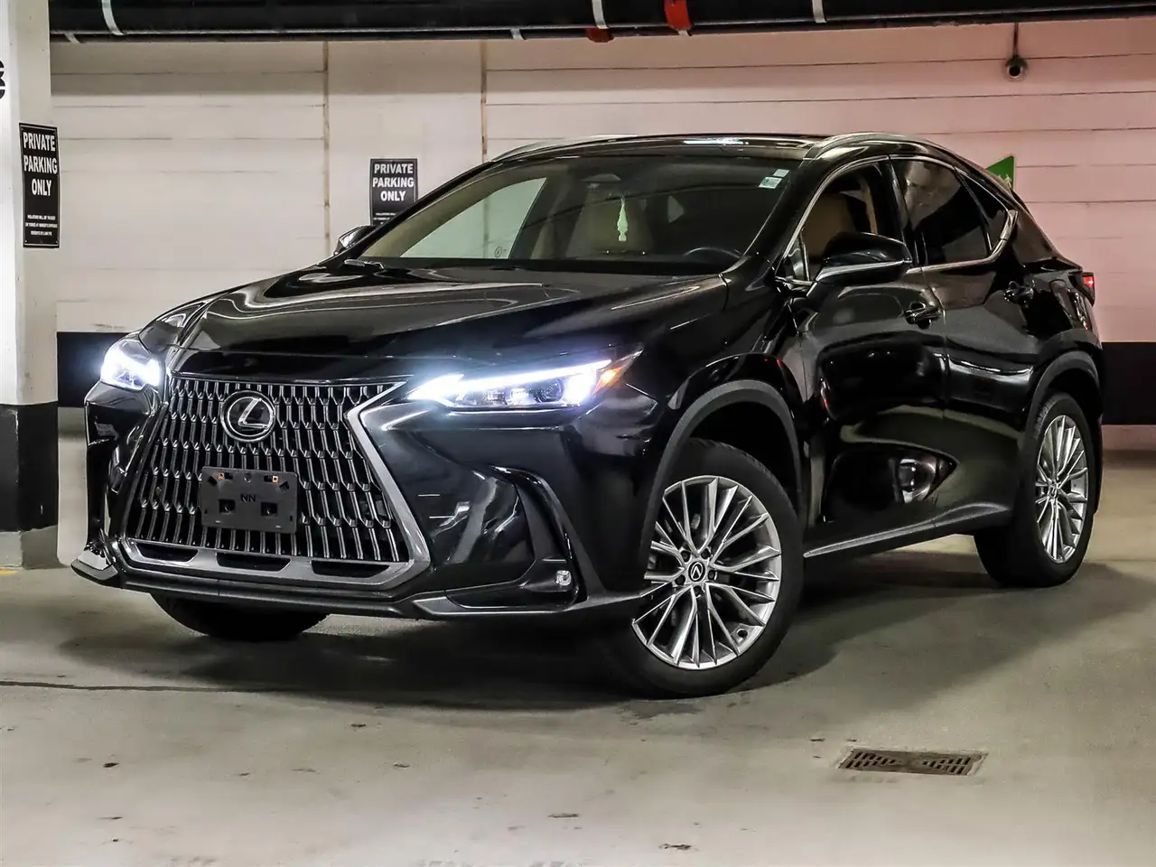2024 Lexus NX