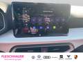 SEAT Ibiza Road Edition 1.0 TSI 85 kW (116 PS)  DSG Schließ-/ Blau - thumbnail 12