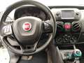 Fiat Qubo 1.3 mjt 16v Trekking s&s 80cv my19 Bianco - thumbnail 8
