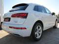 Audi Q5 40 tdi Business Sport 190cv s-tronic | 10.2019 Blanco - thumbnail 6