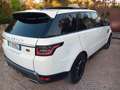 Land Rover Range Rover Sport Range Rover Sport II 2018 3.0 sdV6 HSE my19 Blanc - thumbnail 5