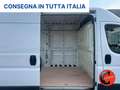 Fiat Ducato MAXI 35 2.3 MJET130CV(L2H2 PM-TM)SENSORI- Blanc - thumbnail 15
