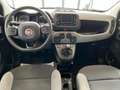 Fiat Panda 1.0 70 CV HYBRID CITY LIFE **PROMO €169/MESE** Grigio - thumbnail 17