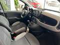 Fiat Panda 1.0 70 CV HYBRID CITY LIFE **PROMO €169/MESE** Grigio - thumbnail 20