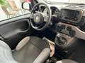 Fiat Panda 1.0 70 CV HYBRID CITY LIFE **PROMO €169/MESE** Grigio - thumbnail 18
