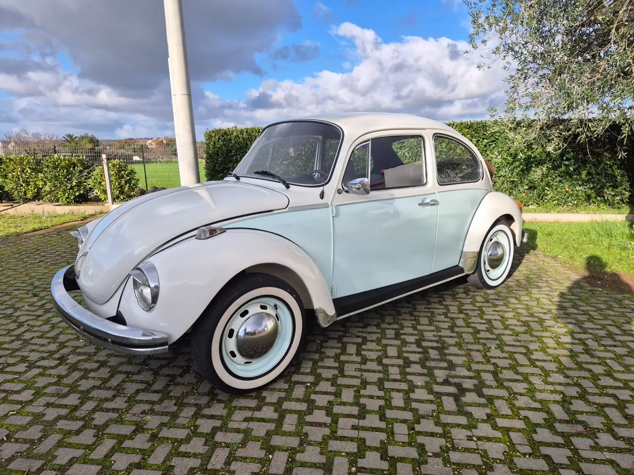 Volkswagen Maggiolino Maggiolone, foto 1