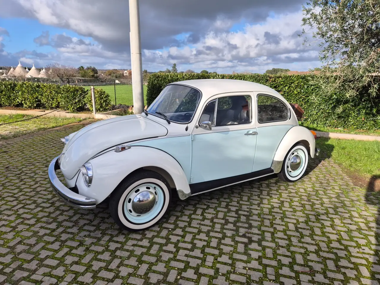 Volkswagen Maggiolino Maggiolone, foto 6