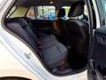 Skoda Fabia 1.0 MPI Cool Klima SmartLink DAB Weiß - thumbnail 9