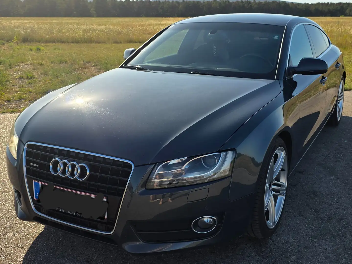 Audi A5 SB 3,0 TDI quattro DPF S-tronic Grau - 2