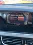 Audi A5 SB 3,0 TDI quattro DPF S-tronic Grau - thumbnail 18
