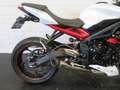 Triumph Street Triple 675 R SC PROJECT Rood - thumbnail 10