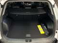 Kia Sportage 1.6 T-GDi HEV 171kW (230CV) Tech 4x2 - thumbnail 5