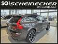 Volvo XC60 T8 AWD PHEV Ultra Dark Aut. Grau - thumbnail 4