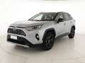 Toyota RAV 4 .5 vvt-ie h active 2wd 218cv e-cvt Gris - thumbnail 1