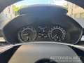 Skoda Fabia 1,0 TSI DSG | LED | APPLE | PDC | SITZHEIZUNG Grau - thumbnail 4