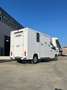 Renault Master Master 2.0 TD 170 CV HARAS ALLESTIMENTO STALLONI Bianco - thumbnail 2