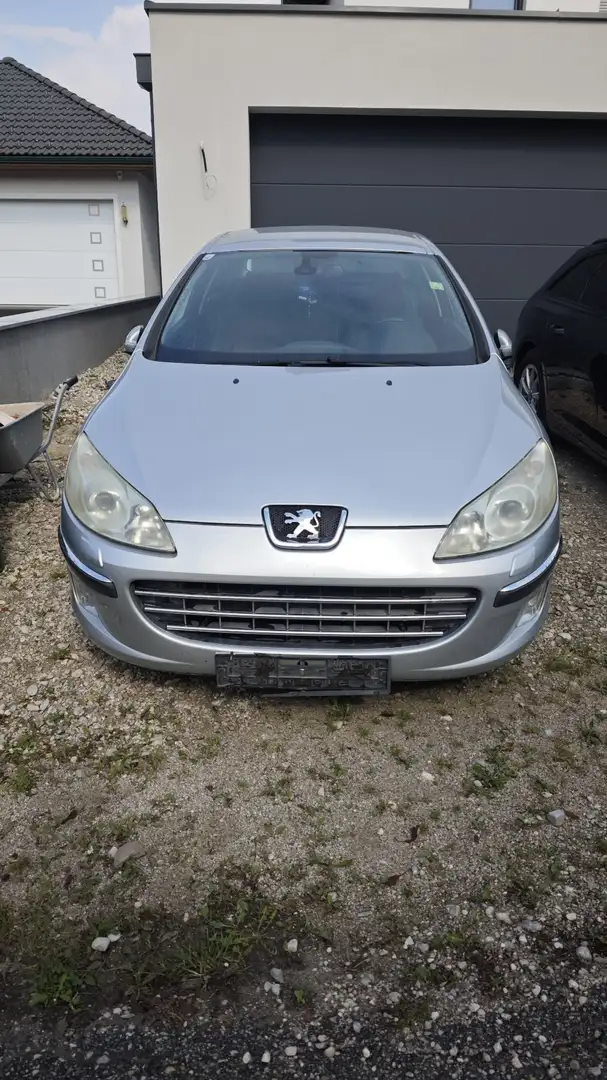 Peugeot 407 Platinum Grau - 1
