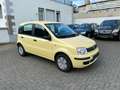 Fiat Panda 1.1 Active Servo, ABS. Airbag, Radio-CD 5 Türen Yellow - thumbnail 2