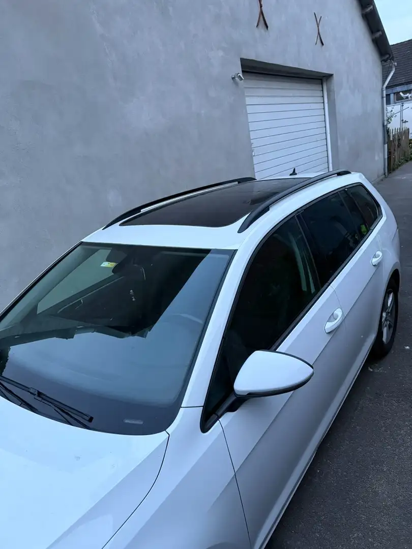 Volkswagen Golf Variant Golf Variant 2.0 TDI BlueMotion Technology DSG Cup - 2