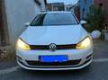 Volkswagen Golf Variant Golf Variant 2.0 TDI BlueMotion Technology DSG Cup - thumbnail 6