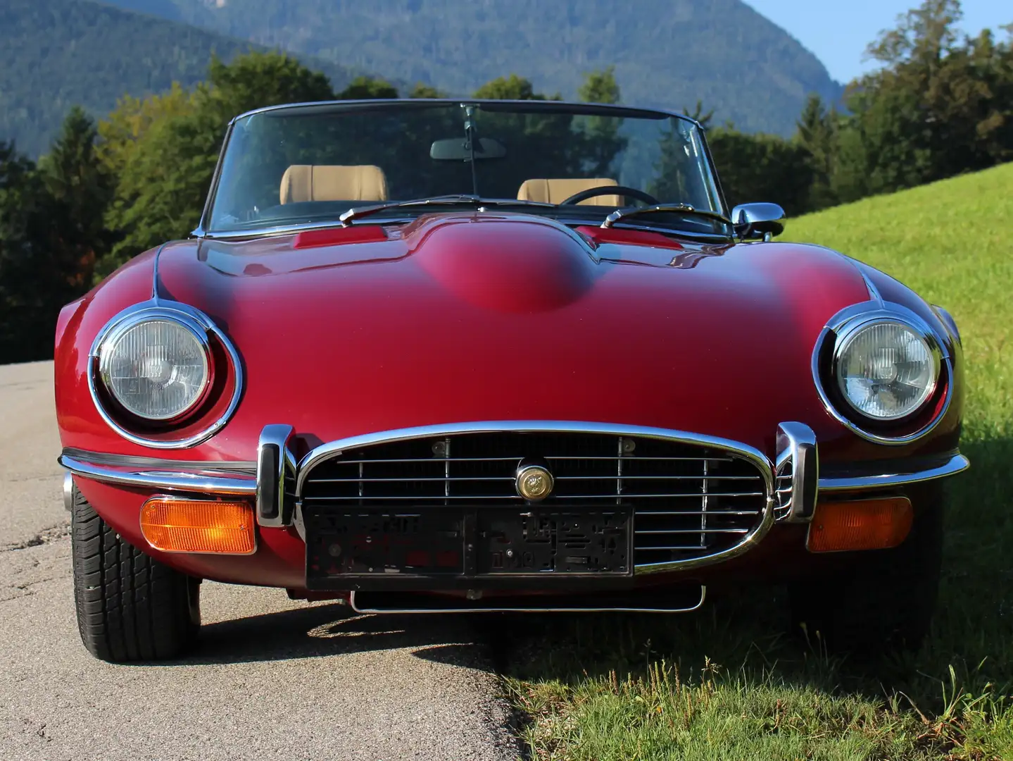 Jaguar E-Type E-Type Serie 3 V 12 Roadster Rot - 2
